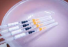 UK to Finish COVID Booster Program for Wholesome Individuals Beneath 50 in Shift to ‘Publish-Pandemic Life’ COVID