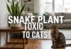 Snake Plant Toxic to Cats? A Complete Guide to Symptoms, Potential Risks, Toxicity Concerns, Treatment Options, and What U.S. Pet Owners Should Do After Exposure Snake Plant Toxic to Cats