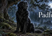 Padfoot in Harry Potter: Complete Guide to Nickname Origins and Meaning, Fascinating Details, and Key Insights Padfoot